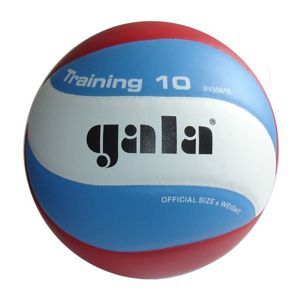 Gala Vojebalová lopta School 10