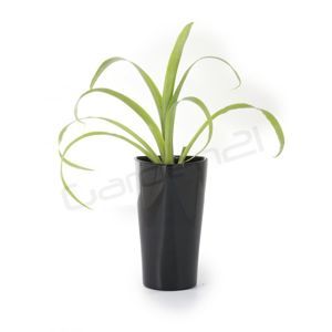Samozavlažovací kvetináč G21 Trio mini čierny 15cm