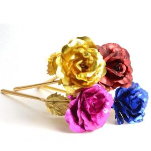 Farebná dekoratívna ruža