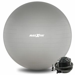MAXXIVA 81587 Gymnastická lopta Ø 55 cm s pumpičkou, strieborná